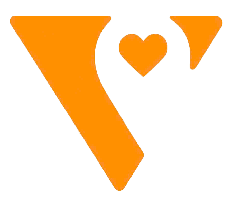 Vũ Gia Taxi logo